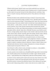 Lietuvos ir Estijos valstybės tarnybos sistemų lyginamoji analizė 3 puslapis