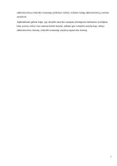 Lietuvos ir Estijos valstybės tarnybos sistemų lyginamoji analizė 4 puslapis