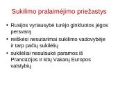 1863 – 1864 m. sukilimas. Skaidrės 16 puslapis