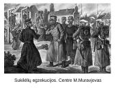 1863 – 1864 m. sukilimas. Skaidrės 20 puslapis