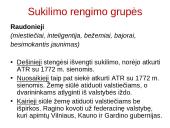 1863 – 1864 m. sukilimas. Skaidrės 4 puslapis