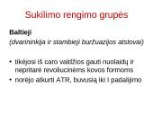 1863 – 1864 m. sukilimas. Skaidrės 5 puslapis