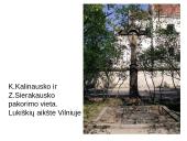 1863 – 1864 m. sukilimas. Skaidrės 8 puslapis