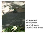 1863 – 1864 m. sukilimas. Skaidrės 9 puslapis