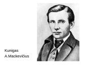 1863 – 1864 m. sukilimas. Skaidrės 10 puslapis