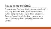Amazonės upė 3 puslapis