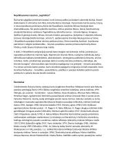 Egzodų kartos 2 puslapis