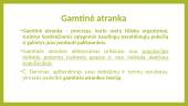 Gamtinės atrankos formos. Skaidrės 3 puslapis