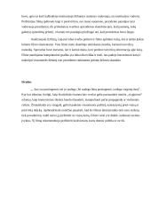 Psichologinė filmo „Uodega vizgina šunį“ analizė 3 puslapis