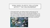 Anglų pristatymas "Plastic pollution" 7 puslapis