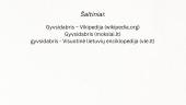 Gyvsidabris. Skaidrės 9 puslapis