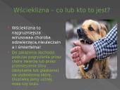 Wścieklizna 2 puslapis