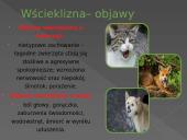 Wścieklizna 3 puslapis