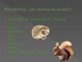 Wścieklizna 4 puslapis