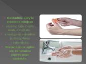 Wścieklizna 5 puslapis