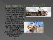 Wścieklizna 6 puslapis