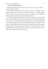 RAID diskinių kaupiklių masyvų tyrimas 5 puslapis