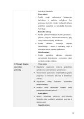 Publikos plėtros strategija ir taktinis planas  „Bluedot“ festivalis 11 puslapis