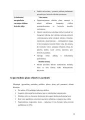 Publikos plėtros strategija ir taktinis planas  „Bluedot“ festivalis 12 puslapis