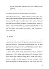 Publikos plėtros strategija ir taktinis planas  „Bluedot“ festivalis 13 puslapis