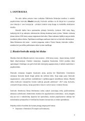 Publikos plėtros strategija ir taktinis planas  „Bluedot“ festivalis 2 puslapis