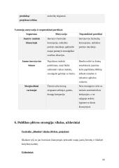 Publikos plėtros strategija ir taktinis planas  „Bluedot“ festivalis 9 puslapis