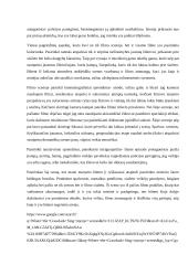 Scenos analizė: Ten, kur gieda vėžiai  2 puslapis