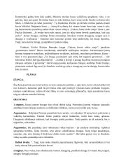 Ko moko jauną žmogų karas? Kalba ir planas 2 puslapis