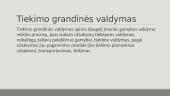 Centralizuotas ir decentralizuotas tiekimo grandinės valdymas 3 puslapis