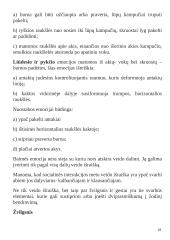 Bendravimo samprata, rūšys, stiliai 18 puslapis