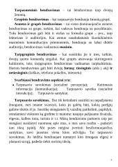 Bendravimo samprata, rūšys, stiliai 3 puslapis