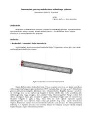 Rezonansinių procesų modeliavimas mikrobangų įrenginiuose