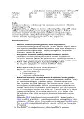 Ryšio tarp dviejų kompiuterių tyrimas 3 puslapis