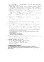 Ryšio tarp dviejų kompiuterių tyrimas 4 puslapis