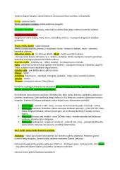 Uolienos. Litosfera 2 puslapis