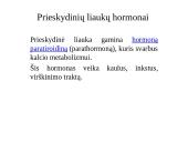 Prieskydinių liaukų hormonai 3 puslapis