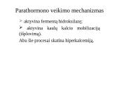 Prieskydinių liaukų hormonai 6 puslapis