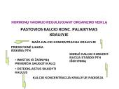 Prieskydinių liaukų hormonai 7 puslapis