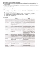 Lytinių ląstelių susidarymas. Mejozė   4 puslapis