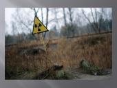 Černobylio grybai 2 puslapis