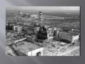 Černobylio grybai 4 puslapis