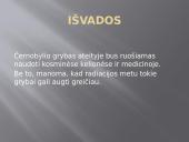 Černobylio grybai 8 puslapis