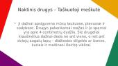 Drugeliai ir rūšys 9 puslapis