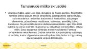 Skruzdelės ir jų rūšys 11 puslapis