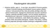 Skruzdelės ir jų rūšys 12 puslapis