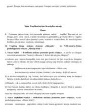 Tragiškasis herojus literatūroje (kalba su planu) 3 puslapis