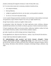 Tragiškasis herojus literatūroje (kalba su planu) 4 puslapis