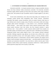 Autonominiai automobiliai 3 puslapis