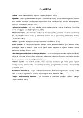 Daiktinės aplinkos įtaka priešmokyklinio ugdymo(-si) kokybei  2 puslapis