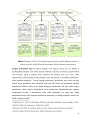 Prieraišumo teorija ir tipai 5 puslapis